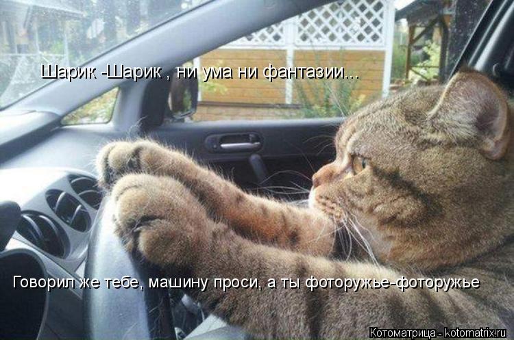 Котоматрица: Шарик -Шарик , ни ума ни фантазии... Говорил же тебе, машину проси, а ты фоторужье-фоторужье