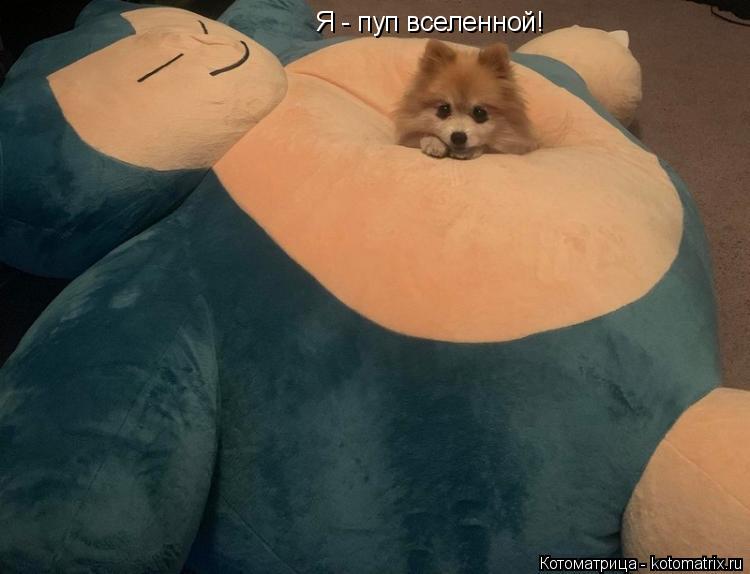 Котоматрица: Я - пуп вселенной!