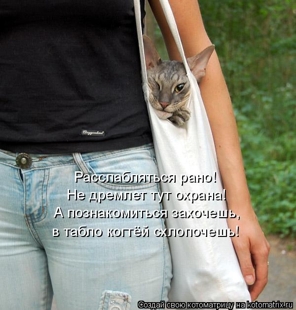 Котоматрица: Расслабляться рано! Не дремлет тут охрана! А познакомиться захочешь,  в табло когтёй схлопочешь!