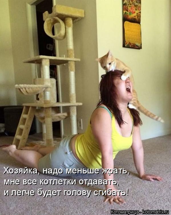 Котоматрица: Хозяйка, надо меньше жрать, мне все котлетки отдавать,  и легче будет голову сгибать!