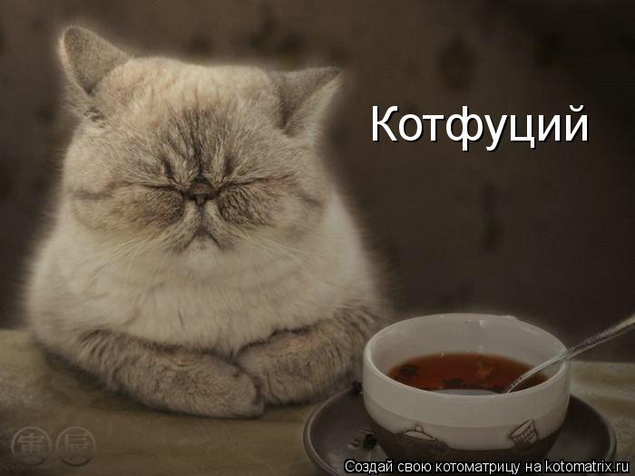 Котоматрица: Котфуций