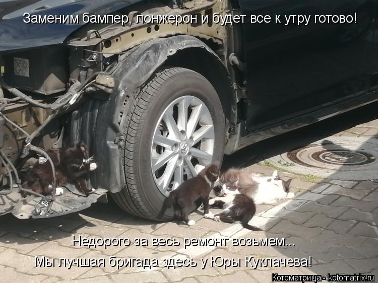 Заменим бампер, лонжерон и будет все к утру готово! Недорого за весь ремонт возьмем... Мы лучшая бриг... Котоматрица: Заменим бампер, лонжерон и будет все к утру готово! Недорого за весь ремонт возьмем... Мы лучшая бригада здесь у Юры Куклачева!