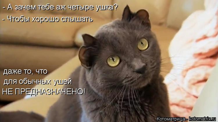 - А зачем тебе аж четыре ушка? НЕ ПРЕДНАЗНАЧЕНО! для обычных ушей даже то, что - Чтобы хорошо слышат... Котоматрица: - А зачем тебе аж четыре ушка? НЕ ПРЕДНАЗНАЧЕНО! для обычных ушей даже то, что - Чтобы хорошо слышать