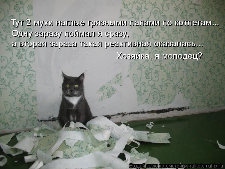 Тут 2 мухи наглые грязными лапами по котлетам... Одну заразу поймал я сразу, а вторая зараза такая р... Котоматрица: Тут 2 мухи наглые грязными лапами по котлетам... Одну заразу поймал я сразу, а вторая зараза такая реактивная оказалась... Хозяйка, я молодец?