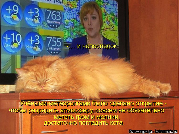 -.... и напоследок: Учёными-метеоролгами было сделано открытие - чтобы разрядить атмосферу, совсем не... Котоматрица: -.... и напоследок: Учёными-метеоролгами было сделано открытие - чтобы разрядить атмосферу, совсем не обязательно метать гром и молнии, доста