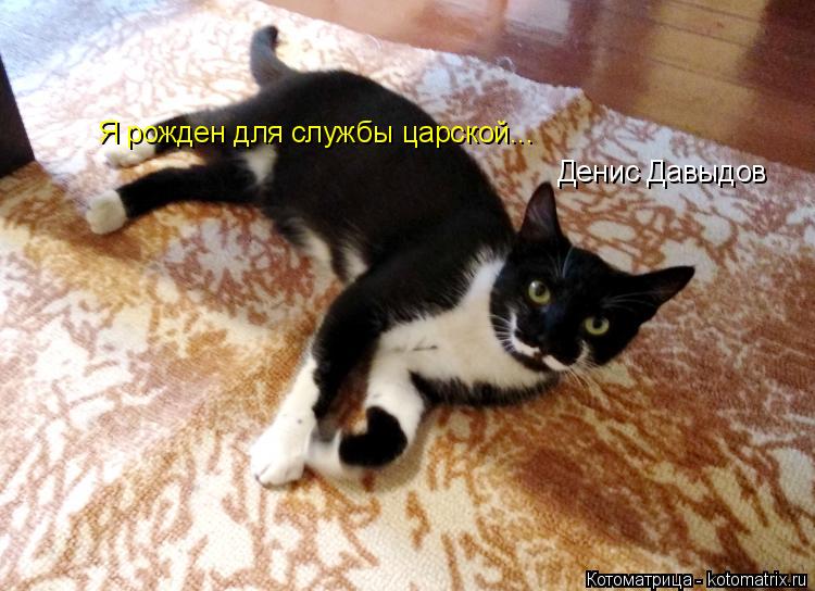 Я рожден для службы царской... Денис Давыдов... Котоматрица: Я рожден для службы царской... Денис Давыдов