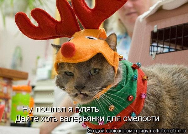 Ну, пошлел я гулять. Дайте хоть валерьянки для смелости... Котоматрица: Ну, пошлел я гулять. Дайте хоть валерьянки для смелости