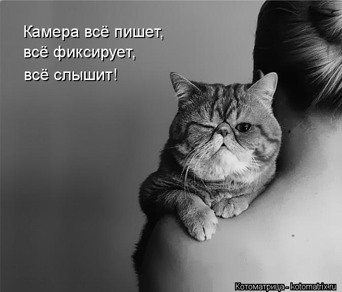 Камера всё пишет, всё фиксирует, всё слышит!... Котоматрица: Камера всё пишет, всё фиксирует, всё слышит!