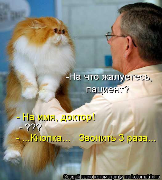 -На что жалуетесь, пациент? - На имя, доктор! - ??? - ...Кнопка... Звонить 3 раза...... Котоматрица: -На что жалуетесь, пациент? - На имя, доктор! - ??? - ...Кнопка... Звонить 3 раза...