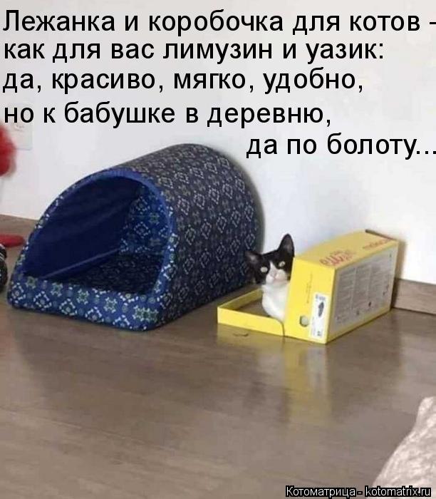 Лежанка и коробочка для котов - как для вас лимузин и уазик: да, красиво, мягко, удобно, но к бабушке... Котоматрица: Лежанка и коробочка для котов - как для вас лимузин и уазик: да, красиво, мягко, удобно, но к бабушке в деревню, да по болоту...