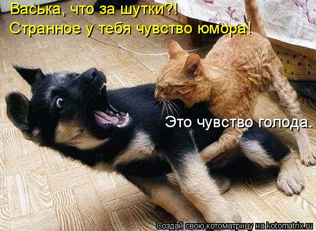 Васька, что за шутки?! Странное у тебя чувство юмора! Это чувство голода.... Котоматрица: Васька, что за шутки?! Странное у тебя чувство юмора! Это чувство голода.