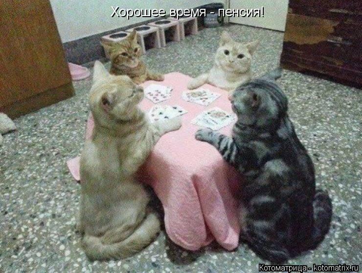 Хорошее время - пенсия!... Котоматрица: Хорошее время - пенсия!