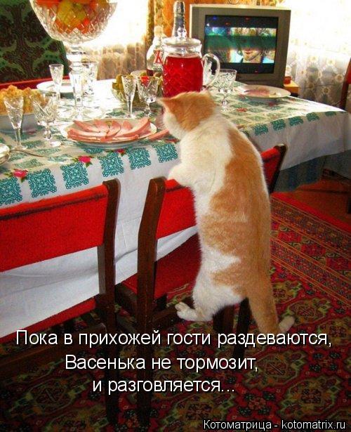 Пока в прихожей гости раздеваются, Васенька не тормозит, и разговляется...... Котоматрица: Пока в прихожей гости раздеваются, Васенька не тормозит, и разговляется...