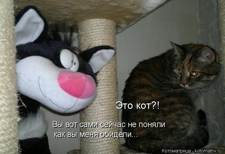 Это кот?! Вы вот сами сейчас не поняли как вы меня обидели...... Котоматрица: Это кот?! Вы вот сами сейчас не поняли как вы меня обидели...