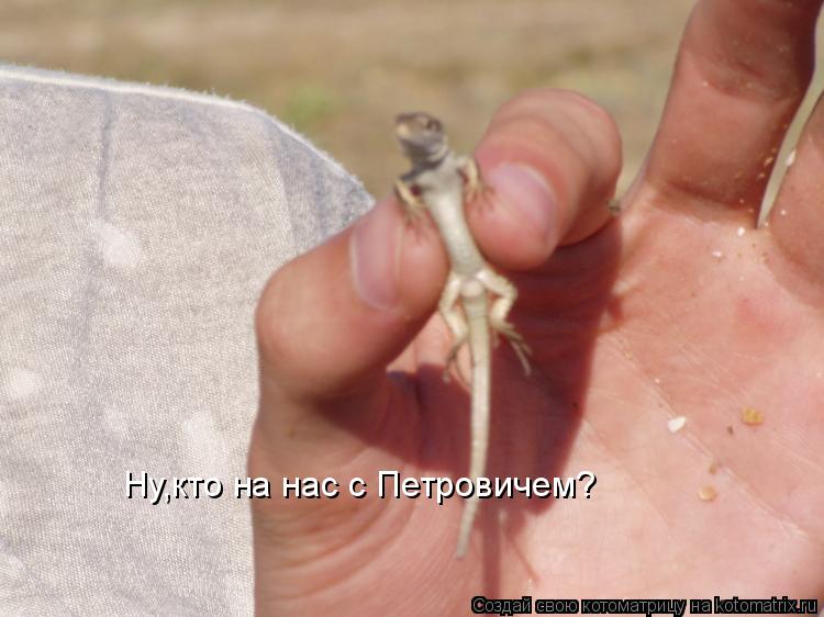 Ну,кто на нас с Петровичем?... Котоматрица: Ну,кто на нас с Петровичем?