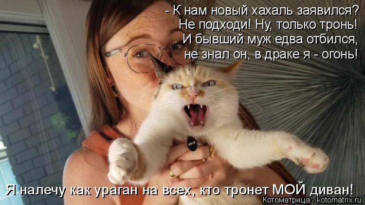 - К нам новый хахаль заявился? Не подходи! Ну, только тронь! И бывший муж едва отбился, не знал он, ... Котоматрица: - К нам новый хахаль заявился? Не подходи! Ну, только тронь! И бывший муж едва отбился, не знал он, в драке я - огонь! Я налечу как ураган на всех