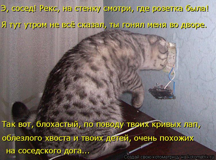 Э, сосед! Рекс, на стенку смотри, где розетка была! Так вот, блохастый, по поводу твоих кривых лап, ... Котоматрица: Э, сосед! Рекс, на стенку смотри, где розетка была! Так вот, блохастый, по поводу твоих кривых лап, облезлого хвоста и твоих детей, очень похо?