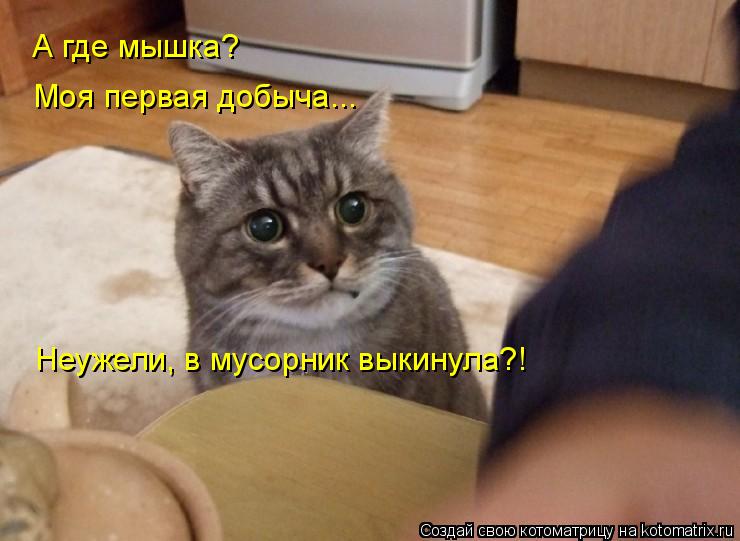 А где мышка? Моя первая добыча... Неужели, в мусорник выкинула?!... Котоматрица: А где мышка? Моя первая добыча... Неужели, в мусорник выкинула?!