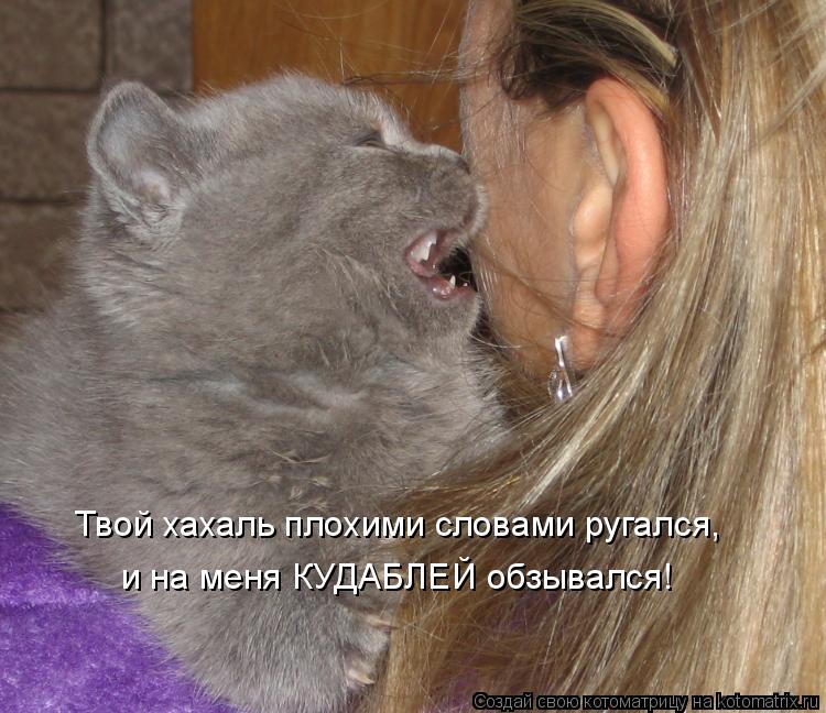 Твой хахаль плохими словами ругался, и на меня КУДАБЛЕЙ обзывался!... Котоматрица: Твой хахаль плохими словами ругался, и на меня КУДАБЛЕЙ обзывался!