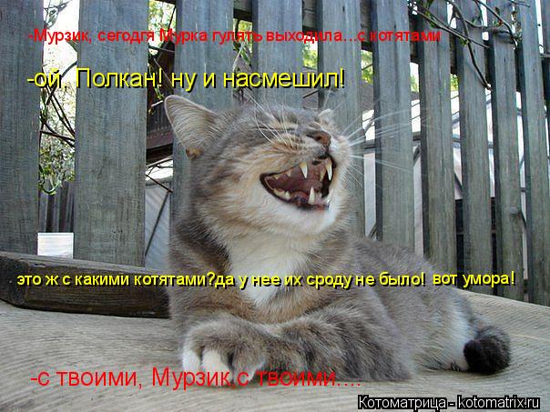 -Мурзик, сегодгя Мурка гулять выходила...с котятами -ой, Полкан! ну и насмешил! -с твоими, Мурзик,с т... Котоматрица: -Мурзик, сегодгя Мурка гулять выходила...с котятами -ой, Полкан! ну и насмешил! -с твоими, Мурзик,с твоими.... это ж с какими котятами?да у нее их ?