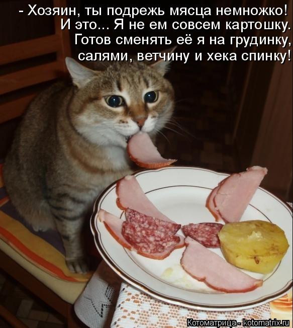 - Хозяин, ты подрежь мясца немножко! И это... Я не ем совсем картошку. Готов сменять её я на грудин... Котоматрица: - Хозяин, ты подрежь мясца немножко! И это... Я не ем совсем картошку. Готов сменять её я на грудинку, салями, ветчину и хека спинку!