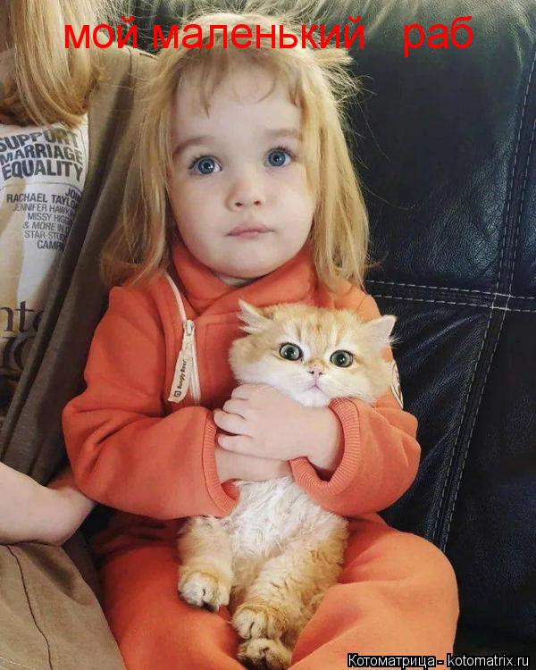 Котоматрица: мой маленький   раб