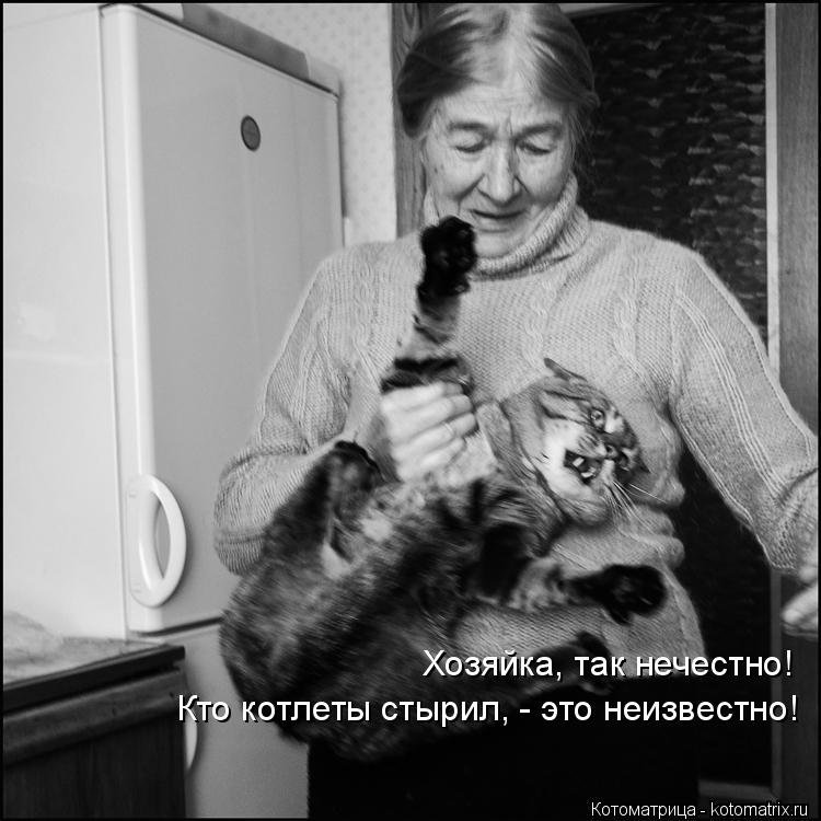 Котоматрица: Хозяйка, так нечестно! Кто котлеты стырил, - это неизвестно!