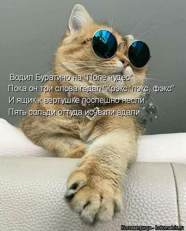 Котоматрица: Водил Буратино на "Поле чудес" Пока он три слова гадал "Крэкс, пэкс, фэкс" И ящик к вертушке поспешно несли Пять сольди оттуда исчезли вдали