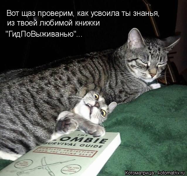 Котоматрица: Вот щаз проверим, как усвоила ты знанья, из твоей любимой книжки "ГидПоВыживанью"...