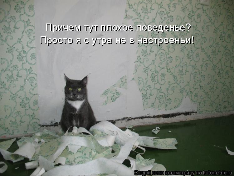 Причем тут плохое поведенье? Просто я с утра не в настроеньи!... Котоматрица: Причем тут плохое поведенье? Просто я с утра не в настроеньи!