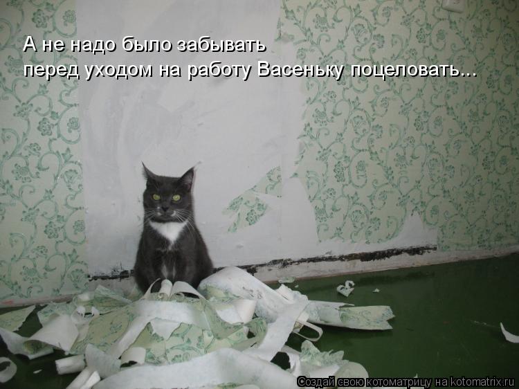 Котоматрица: А не надо было забывать  перед уходом на работу Васеньку поцеловать...
