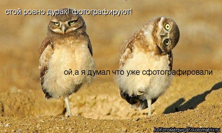 Котоматрица: стой ровно дурак! фотографируют! ой,а я думал что уже сфотографировали