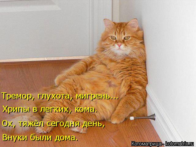 Внуки были дома. Ох, тяжёл сегодня день, Хрипы в легких, кома. Тремор, глухота, мигрень...... Котоматрица: Внуки были дома. Ох, тяжёл сегодня день, Хрипы в легких, кома. Тремор, глухота, мигрень...