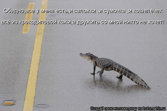 Котоматрица: Обидно,все у меня есть,и сапожки ,и сумочка ,и кошелёчек  всё из крокодиловой кожи,а дружить со мной никто не хочет!