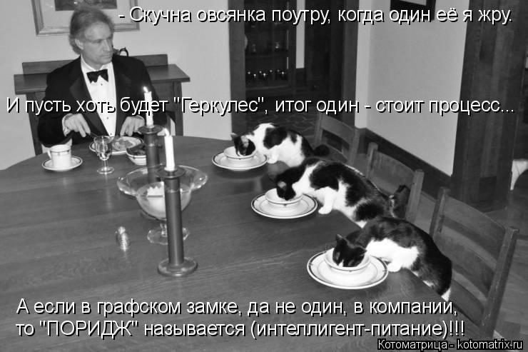 Котоматрица: - Скучна овсянка поутру, когда один её я жру. А если в графском замке, да не один, в компании, И пусть хоть будет "Геркулес", итог один - стоит пр?