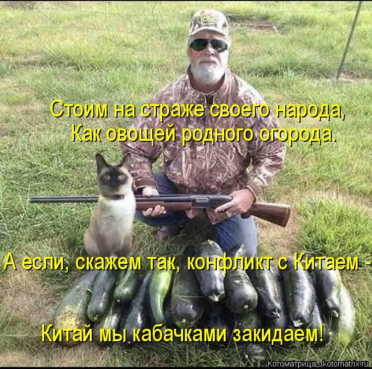 Стоим на страже своего народа, Как овощей родного огорода. А если, скажем так, конфликт с Китаем - Ки... Котоматрица: Стоим на страже своего народа, Как овощей родного огорода. А если, скажем так, конфликт с Китаем - Китай мы кабачками закидаем!