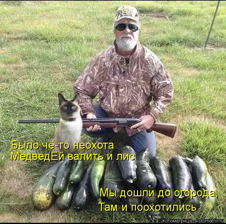 Было чё-то неохота МедведЕй валить и лис Мы дошли до огорода, Там и поохотились... Котоматрица: Было чё-то неохота МедведЕй валить и лис Мы дошли до огорода, Там и поохотились