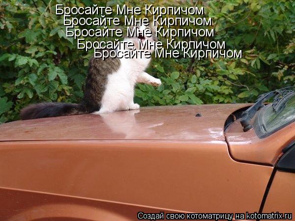 Бросайте Мне Кирпичом Бросайте Мне Кирпичом Бросайте Мне Кирпичом Бросайте Мне Кирпичом Бросайте Мне ... Котоматрица: Бросайте Мне Кирпичом Бросайте Мне Кирпичом Бросайте Мне Кирпичом Бросайте Мне Кирпичом Бросайте Мне Кирпичом