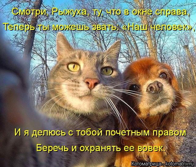 Смотри, Рыжуха, ту, что в окне справа, Теперь ты можешь звать: «Наш человек», И я делюсь с тобой поч... Котоматрица: Смотри, Рыжуха, ту, что в окне справа, Теперь ты можешь звать: «Наш человек», И я делюсь с тобой почетным правом Беречь и охранять ее вовек.