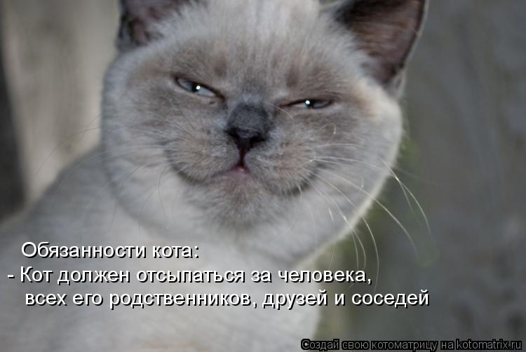 Котоматрица: Обязанности кота: - Кот должен отсыпаться за человека,   всех его родственников, друзей и соседей