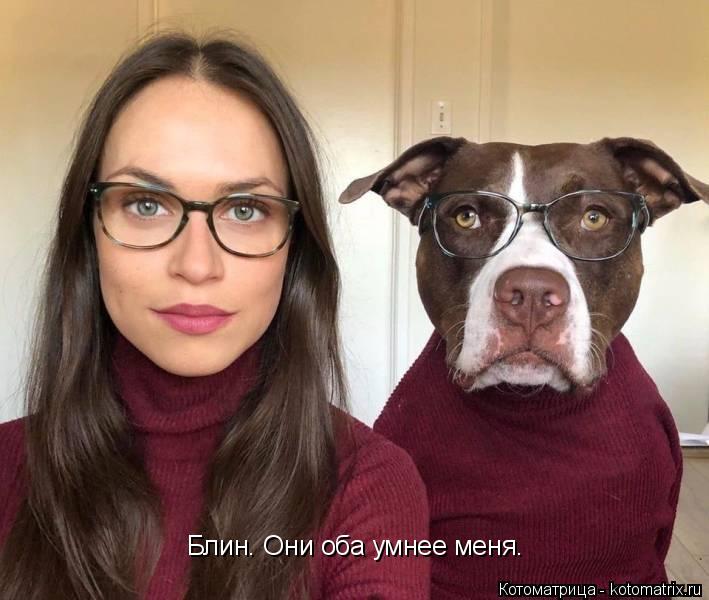 Котоматрица: Блин. Они оба умнее меня.