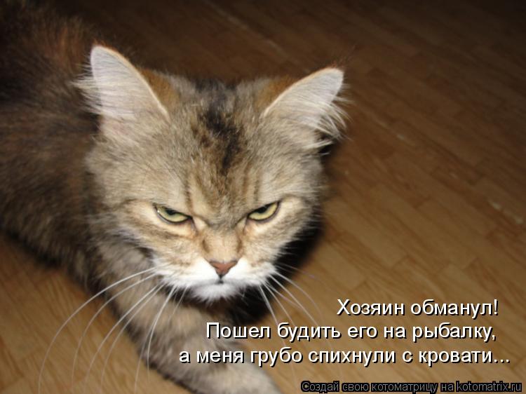 Хозяин обманул! Пошел будить его на рыбалку, а меня грубо спихнули с кровати...... Котоматрица: Хозяин обманул! Пошел будить его на рыбалку, а меня грубо спихнули с кровати...