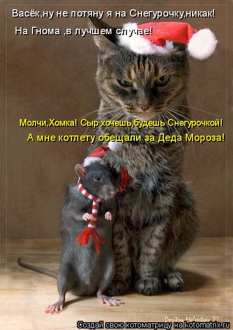 Васёк,ну не потяну я на Снегурочку,никак! На Гнома ,в лучшем случае! Молчи,Хомка! Сыр хочешь,будешь С... Котоматрица: Васёк,ну не потяну я на Снегурочку,никак! На Гнома ,в лучшем случае! Молчи,Хомка! Сыр хочешь,будешь Снегурочкой! А мне котлету обещали за Деда