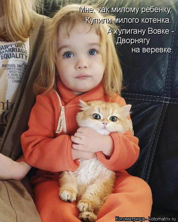Мне, как милому ребенку, Купили милого котенка. А хулигану Вовке - Дворнягу на веревке.... Котоматрица: Мне, как милому ребенку, Купили милого котенка. А хулигану Вовке - Дворнягу на веревке.