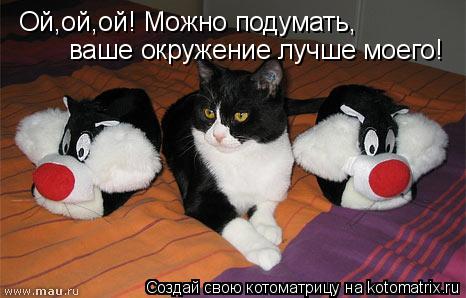 Ой,ой,ой! Можно подумать, ваше окружение лучше моего!... Котоматрица: Ой,ой,ой! Можно подумать, ваше окружение лучше моего!