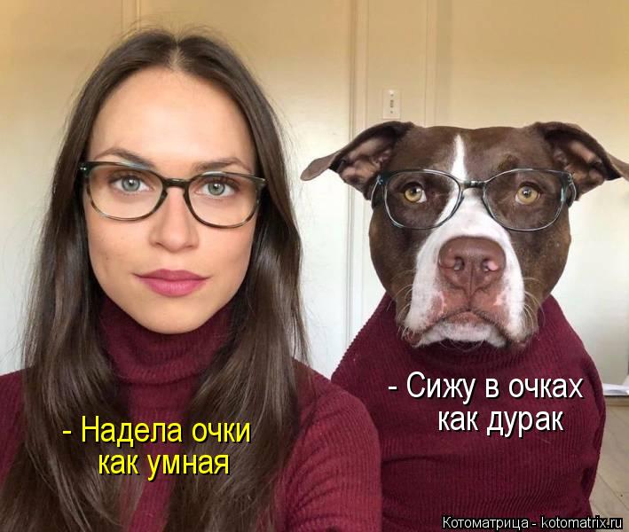- Сижу в очках как дурак - Надела очки как умная... Котоматрица: - Сижу в очках как дурак - Надела очки как умная