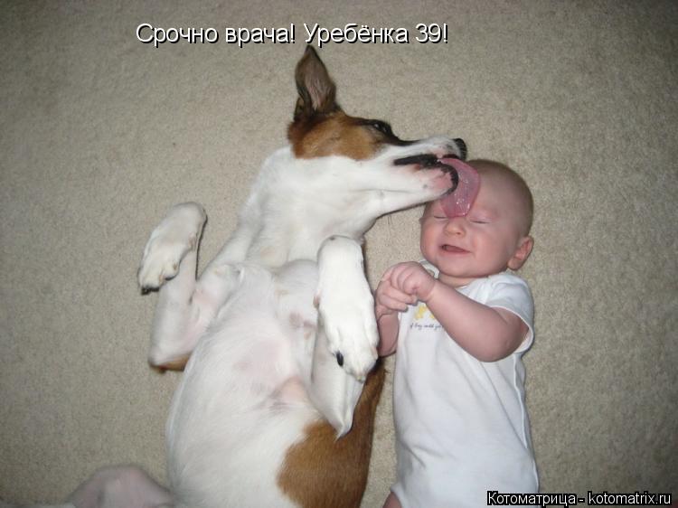 Срочно врача! Уребёнка 39!... Котоматрица: Срочно врача! Уребёнка 39!
