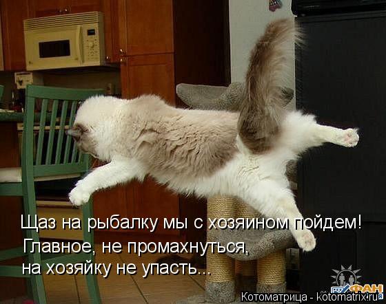 Котоматрица: Щаз на рыбалку мы с хозяином пойдем! Главное, не промахнуться,   на хозяйку не упасть...