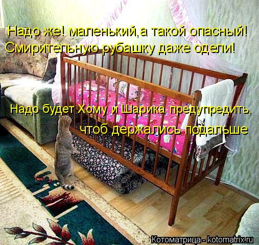 Надо же! маленький,а такой опасный! Смирительную рубашку даже одели! Надо будет Хому и Шарика предуп... Котоматрица: Надо же! маленький,а такой опасный! Смирительную рубашку даже одели! Надо будет Хому и Шарика предупредить, чтоб держались подальше