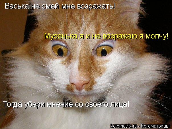 Котоматрица: Васька,не смей мне возражать! Мусенька,я и не возражаю,я молчу! Тогда убери мнение со своего лица!